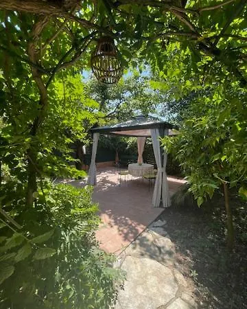 Rez-de-jardin De 4 Pieces Le Cannet