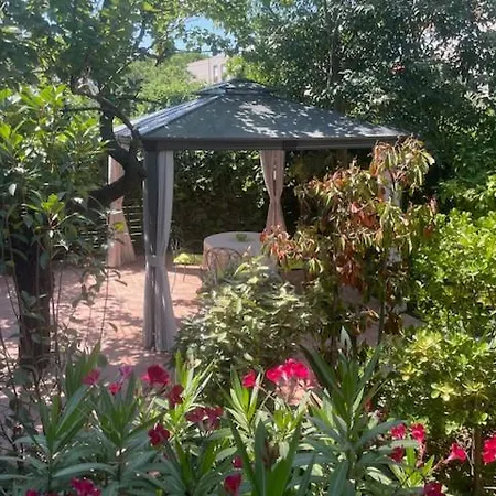 Rez-de-jardin De 4 Pieces Le Cannet